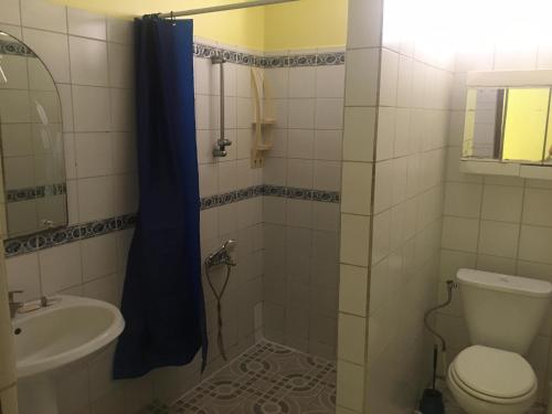 a bathroom with a toilet and a sink at Hinarani Home Haapiti in Haapiti