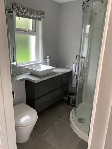 a bathroom with a toilet and a sink and a shower at Lower Hill Cottage w/Swedish Hot Tub in Bodmin