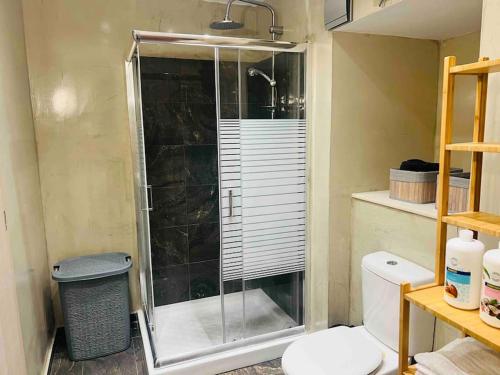 une salle de bain avec douche et toilettes dans l'établissement Louisa's Studio, à Corfou
