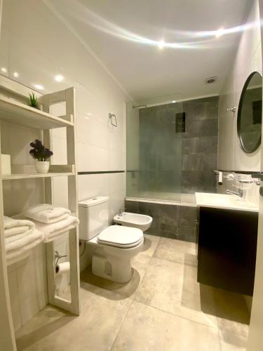 a bathroom with a toilet and a sink and a shower at FINCA NOVA Apartment 4 in Balcarce