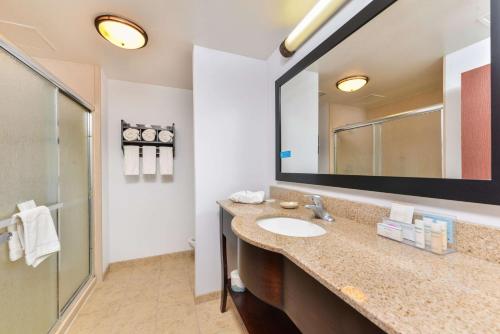 a bathroom with a sink and a mirror at Hampton Inn Gonzales in Gonzales