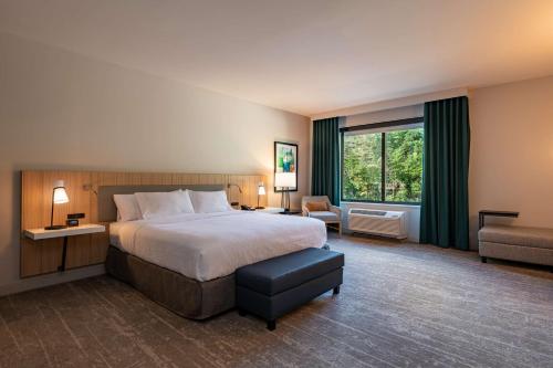 une chambre d'hôtel avec un lit et une fenêtre dans l'établissement Hilton Garden Inn Boston Canton, Ma, à Canton