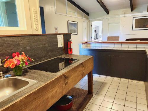 a kitchen with a sink and a counter top at Arnott's Lodge & Hiking Adventures in Hilo