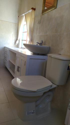 a bathroom with a white toilet and a sink at Cabaña Campestre La Esperanza in Duitama