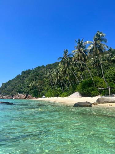 a beach with palm trees and the ocean at Redang Campstay in Redang Island