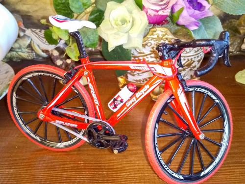 a red bike sitting on a table next to flowers at Minamitsuru-gun - Hotel / Vacation STAY 45545 in Yamanakako