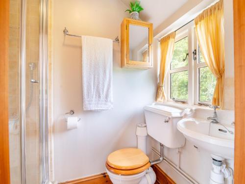 a bathroom with a toilet and a sink at Tidnor Cross Mews in Hampton Bishop