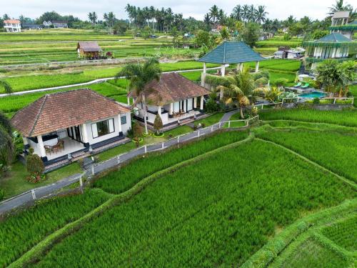 an aerial view of a house in a rice field at Cahaya Ubud Villa in Ubud