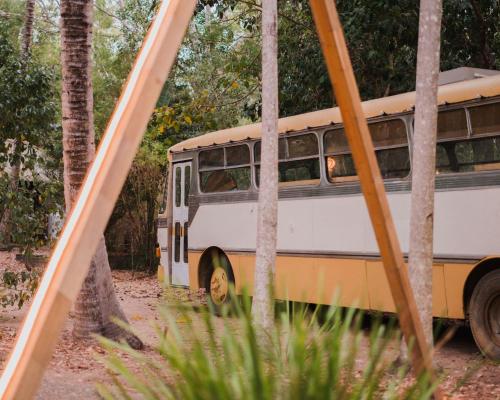an old yellow and white bus parked in the woods at Bounce Magnetic Island and Koala Park - formerly Roamer in Horseshoe Bay