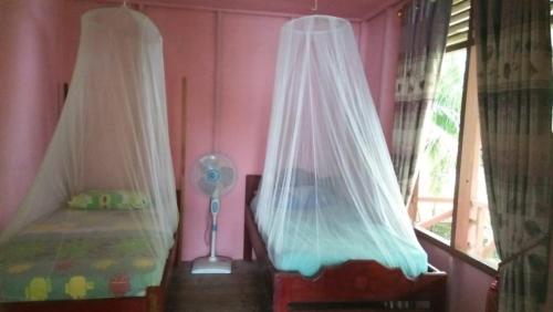 a bedroom with two beds with mosquito nets at Hollow Trees Surf Camp Katiet front front Hollow tree,Lance Right,Lance right,Bintang wave in Katiet