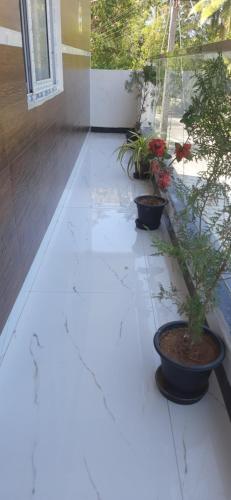 Jardín al aire libre en Teja Residency