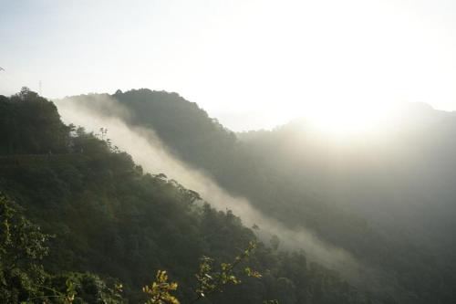 a misty mountain with trees and the sun in the background at Pabis luxurious stay in Vythiri