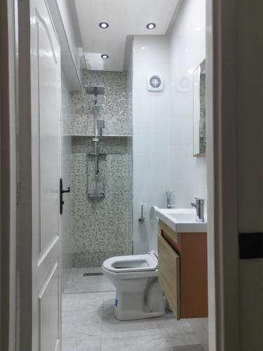 a bathroom with a toilet and a shower and a sink at Tanger Down Town in Tangier