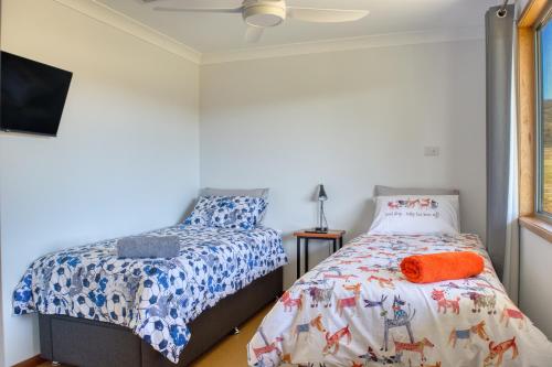 a bedroom with two beds and a tv at Kangarooby Cottage - A Peaceful Off-grid Escape 