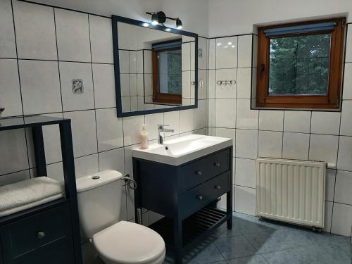 a bathroom with a sink and a toilet and a mirror at Willa Anna in Zakopane