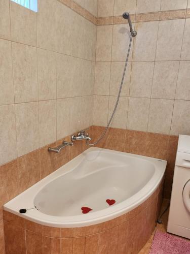 a bath tub with a shower in a bathroom at Nora Apartment in Almyrida in Chania Town