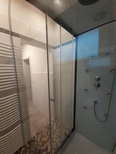 a shower with a glass door in a bathroom at Erdgeschoss-Appartement mit Seeblick in Ahrensbök