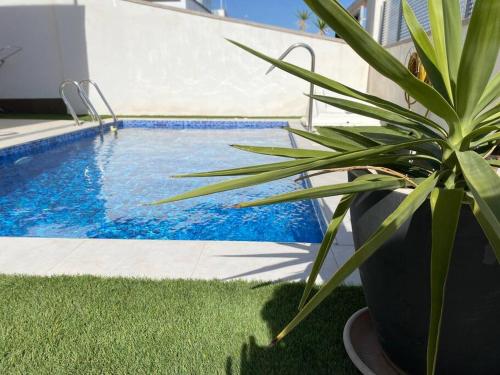 une plante en pot installée à côté d'une piscine dans l'établissement Modern Villa with Private Pool near Golf Courses, à Ciudad Quesada