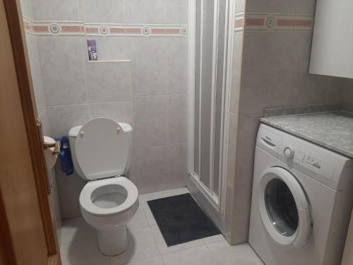 a bathroom with a toilet and a washing machine at Coqueto apartamento en el casco viejo in Lekeitio