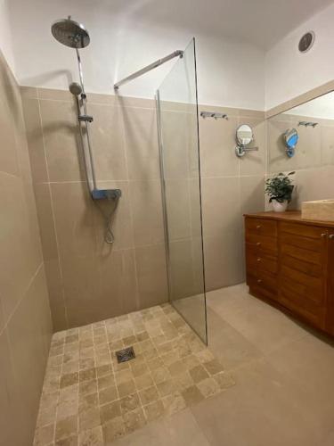 une douche avec une porte vitrée dans une salle de bain dans l'établissement Penthouse au dessus de la mer, à Six-Fours-les-Plages