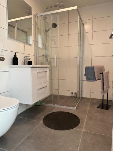 uma casa de banho com um chuveiro, um WC e um lavatório. em Villa Waldulm em Kappelrodeck