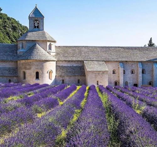 uma igreja com campos de lavanda púrpura em frente em Maison de campagne en Provence em Noves