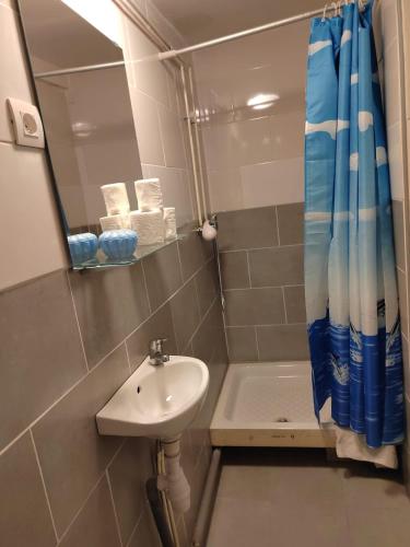 une salle de bain avec un lavabo, un miroir et une douche dans l'établissement Studio détente, à Montreuil