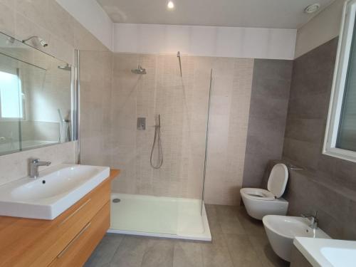 a bathroom with a shower and a sink and a toilet at Appartement spacieux in Montreuil