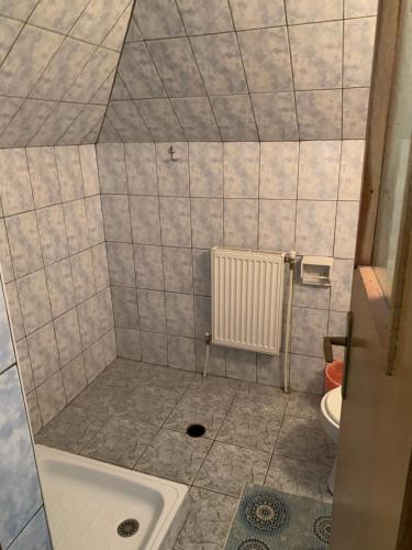 Hypnotic Villa Predeal في بريدال: حمام مع دش مع حوض ومرحاض