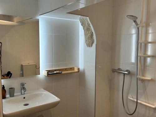 ein Bad mit einer Dusche und einem Waschbecken in der Unterkunft Gite Au pied du Grand Colombier in Talissieu