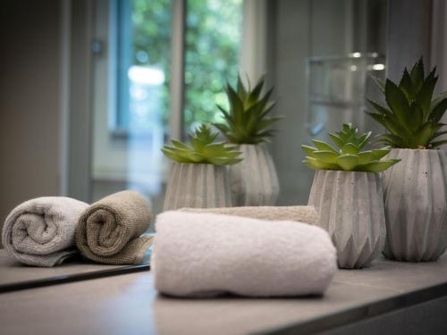 a group of vases with towels and plants on a counter at LAKESIDE LODGE in Nonnenhorn