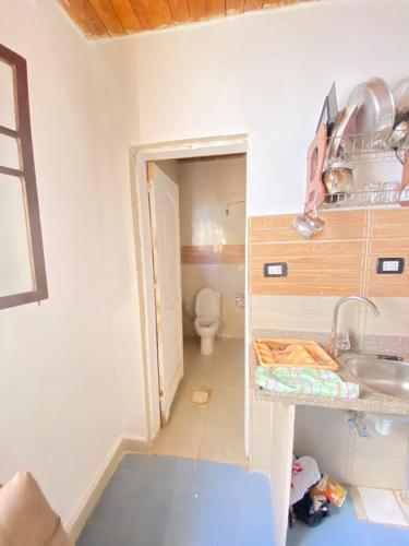 Hassan helaly house