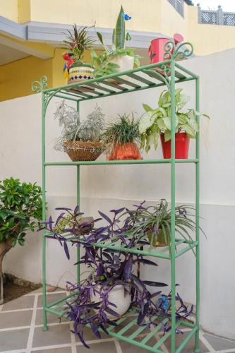 Taman di luar Shree Nikunj - A Luxury Boutique Homestay in Jaipur