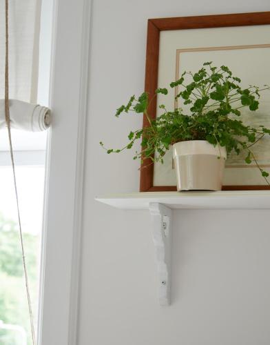 a plant sitting on a shelf next to a window at Hotel Station Amstelveen in Amstelveen