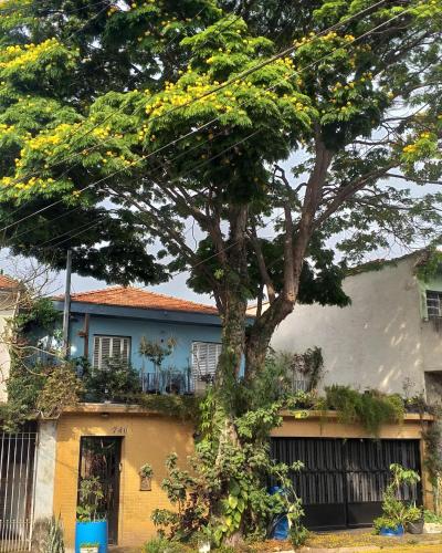a house with a tree in front of it at Micasa Hostel - Congonhas in Sao Paulo