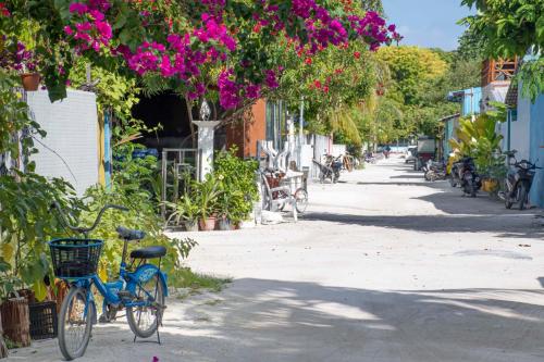 a bike parked on the side of a street with flowers at Empyrean Stay, Maldives in Thulusdhoo