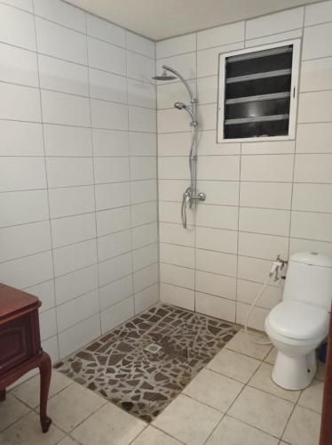 a bathroom with a shower and a toilet at L’Habitation BoisNeuf in La Trinité