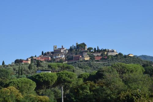 a village on top of a hill with trees at Da Poldino in Borgo a Buggiano