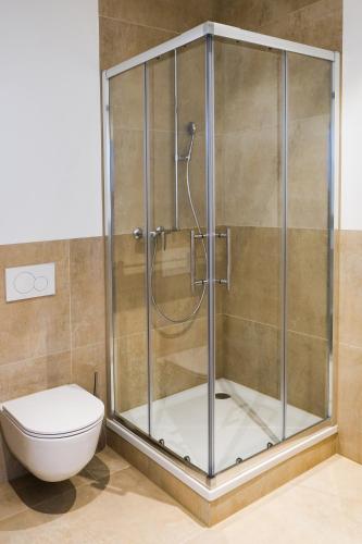 a shower stall in a bathroom with a toilet at Pit Stop Apartments in Cham