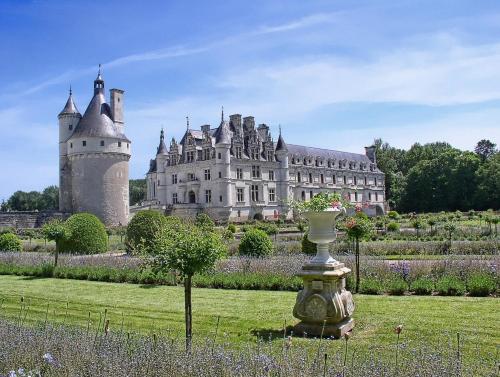 a castle with a vase in the middle of a field at Escapade blésoise in Blois