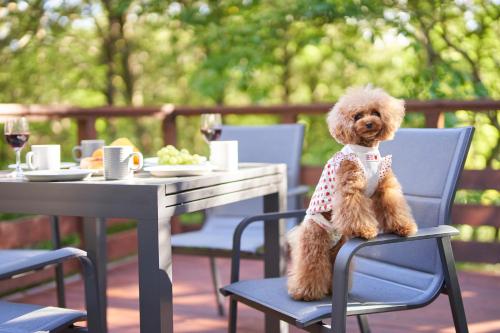 a teddy bear sitting on a chair next to a table at Suite Villa Nasukogen Doggy's Ohana in Nasu