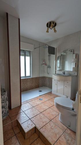 a bathroom with a toilet and a shower in it at Apartamento Jacobo Villar in Valladolid