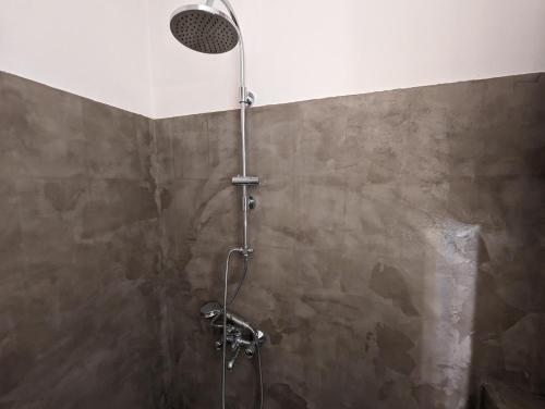 a shower with a shower head in a bathroom at Cozy Park Apartment in Budapest