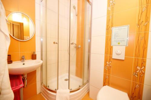 a bathroom with a shower and a toilet and a sink at Hotel Vintíř in Hartmanice