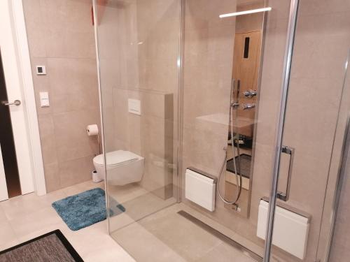 uma casa de banho com um chuveiro e um WC. em Haus Larissa em Gmünd