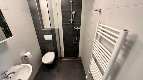 uma casa de banho com um chuveiro, um WC e um lavatório. em Třeboňský penzion em Třeboň