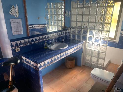 Baño azul con lavabo y espejo en Casa Rural Los Robles, en Acebo