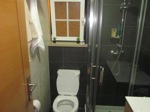 a bathroom with a toilet and a shower at Casinha da Pedra in Tomar