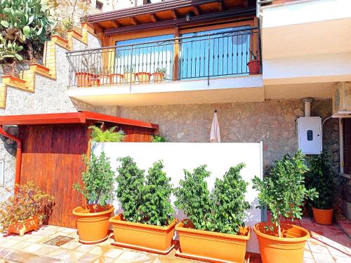 a group of potted plants inront of a building at Casa Luca in Forza dʼAgro