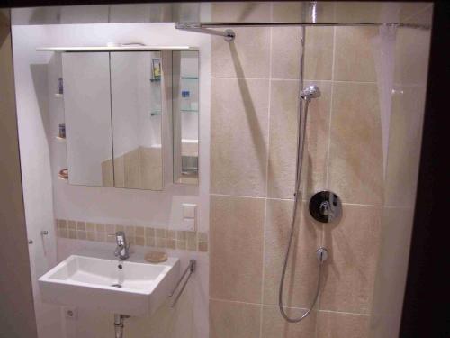 a bathroom with a shower and a sink at Ferienhaus Marienleuchte in Marienleuchte